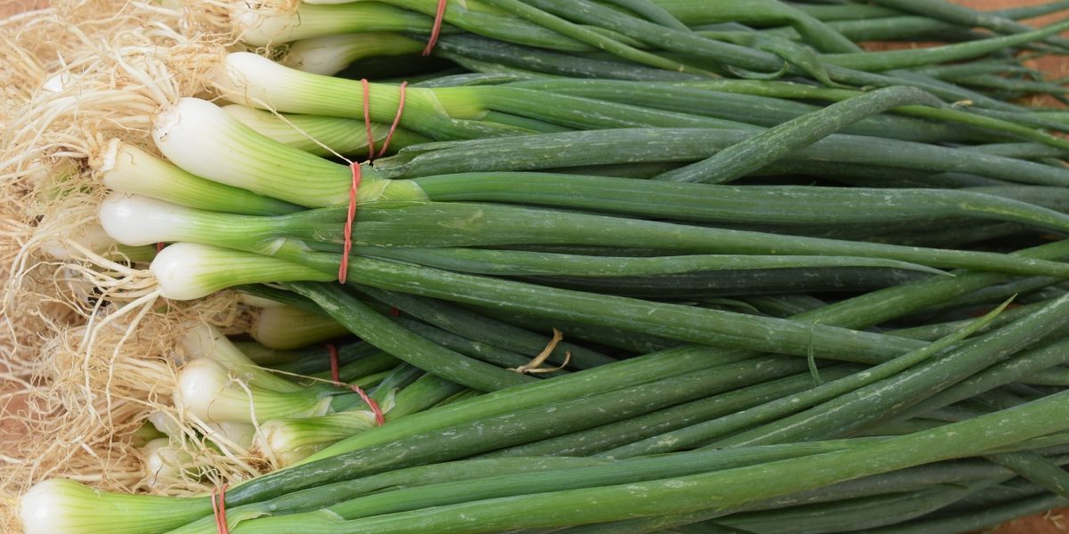 Cum-sa-cresti-ceapa-verde-in-pahar-fara-pamant-si-fara-efort.jpg - ReactiveNews