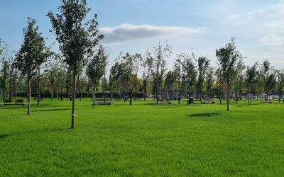 Daniel Băluță anunță numele parcului din Sector 4, Donald J. Trump