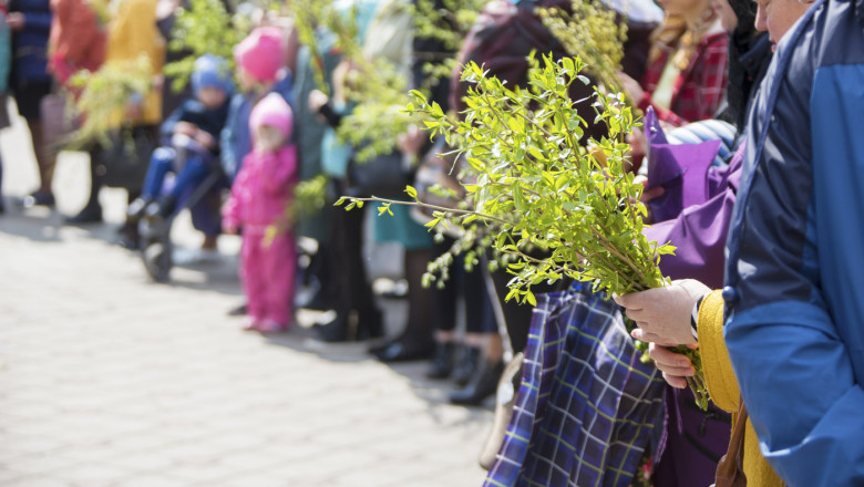 De-ce-apar-ramuri-de-finic-in-Biblie-dar-romanii-duc-salcie-la-biserica-de-Florii.jpg - ReactiveNews