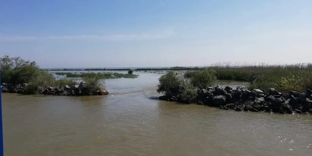 Prohibiția Generală în Delta Dunării: Apa dă pauză pescuitului, e sezon de ouă