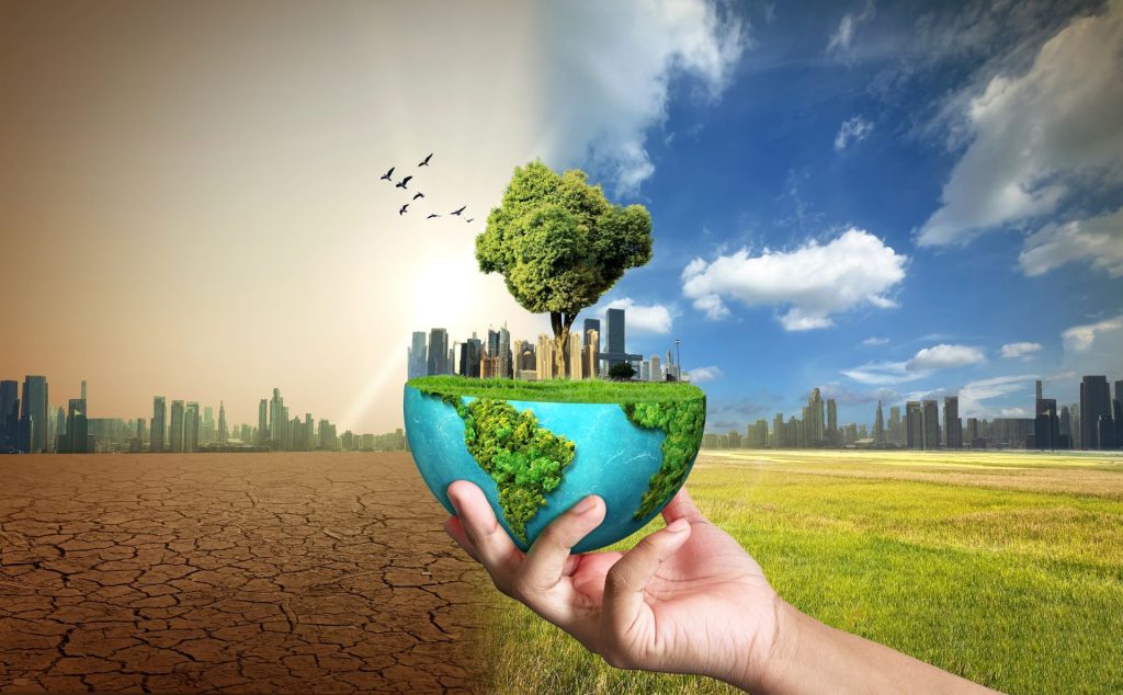 Un nou studiu publicat în revista Molecular Biology and Evolution arată că efectele schimbărilor climatice pot influența evoluția speciilor, persistând de-a lungul mai multor generații