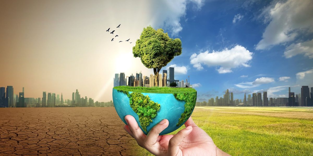 Schimbările climatice: efecte resimțite de stră-strănepoți, arată un studiu