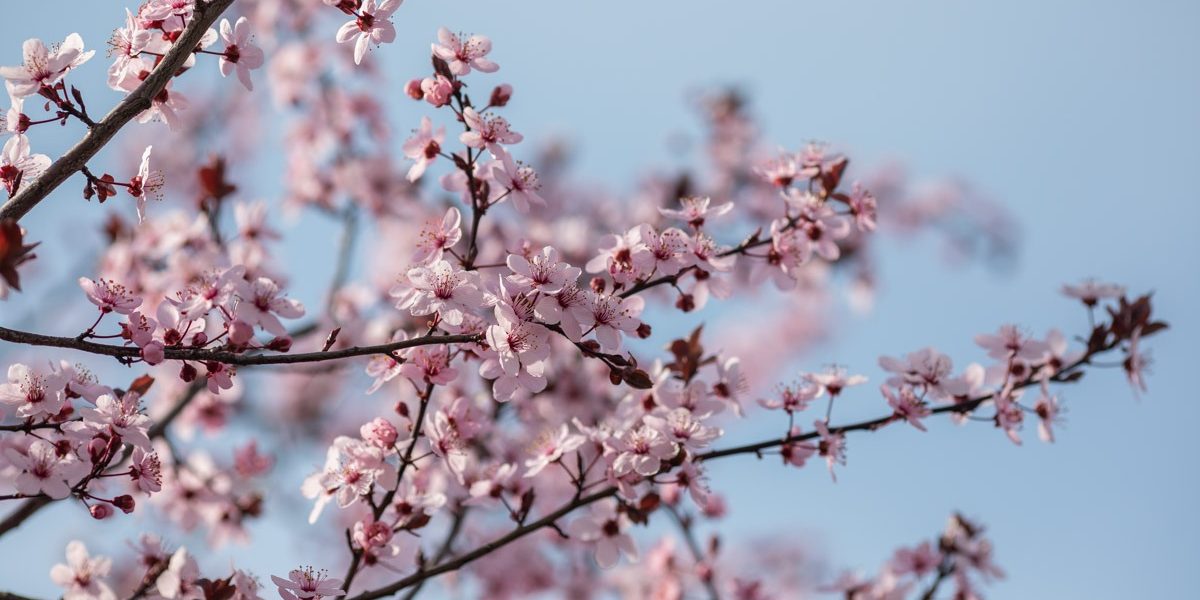 FB1A7256.jpg - ReactiveNews