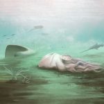 Fosila „caracatiței”: Scanările au arătat că nu e ce pare, șocant