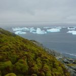 Green-Island.-Credit-Matt-Amesbury-x-1536x826-2.jpg - ReactiveNews