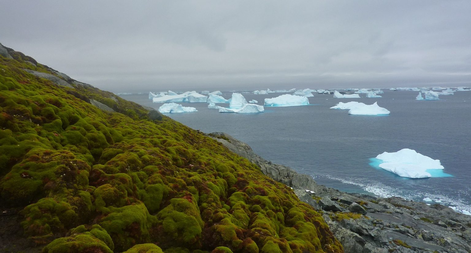 Antarctica, continentul acoperit în mare parte de gheață, ascunde rezerve uriașe de metale prețioase și minerale precum AUR, argint, cupru și fier, care ar putea deveni accesibile odată cu topirea gheții