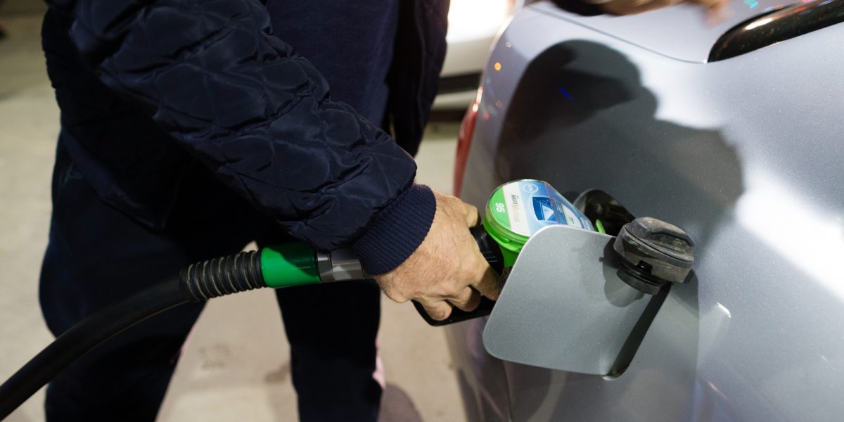 ID191237_INQUAM_Photos_Cornel_Putan.jpg - ReactiveNews