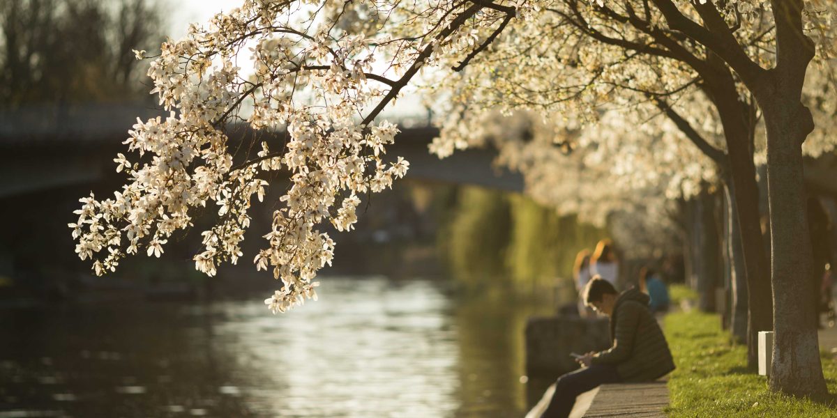 ID193225_INQUAM_Photos_Cornel_Putan.jpg - ReactiveNews