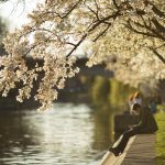 ID193225_INQUAM_Photos_Cornel_Putan.jpg - ReactiveNews