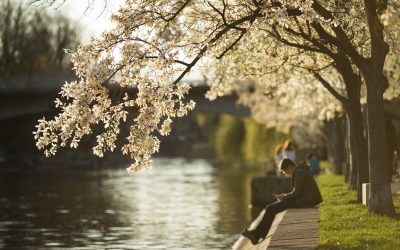 ID193225_INQUAM_Photos_Cornel_Putan.jpg - ReactiveNews