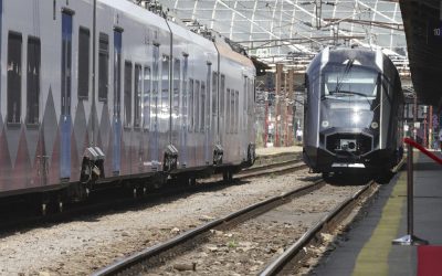 ID309301_INQUAM_Photos_Octav_Ganea-1600x1067-1-e1775218925552.jpg - ReactiveNews