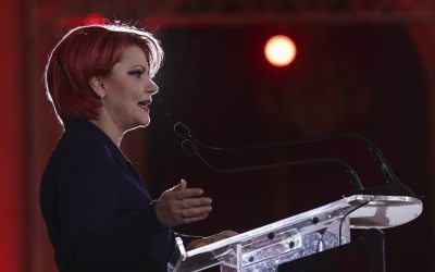 Lia Olguța Vasilecu, atac acid la adresa „șobolanului” din PSD: România fierbe