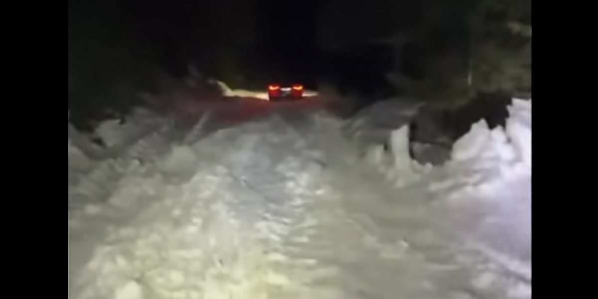 Bărbat și fiul său, blocați de zăpadă în Cheile Oltețului, în Noaptea de Înviere