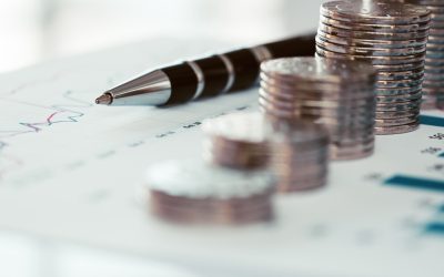 Ministrul Economiei, despre prognoza FMI: „Sunt lucruri peste care nu putem trece”