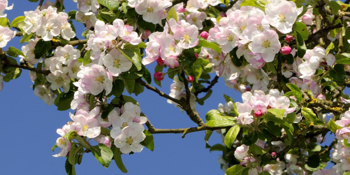 ANM anunță vremea de Paște: prognoza meteo pe zone la nivel național