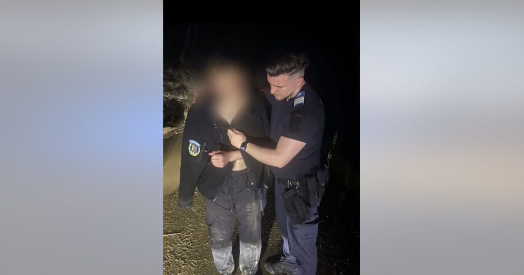 Tânăr, fugărit de urs în România: Jandarmii l-au salvat, a abandonat motocicleta!