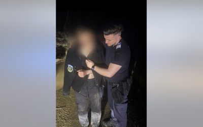 Tânăr, fugărit de urs în România: Jandarmii l-au salvat, a abandonat motocicleta!