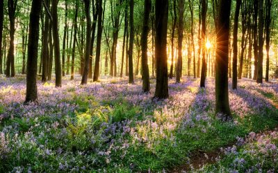 Vremea în România va fi mai rece decât în mod obișnuit în primele săptămâni ale lunii aprilie, potrivit prognozei actualizate a Administrației Naționale de Meteorologie (ANM)