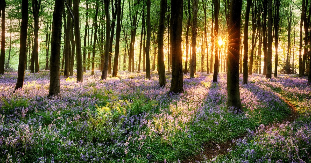 Vremea în România va fi mai rece decât în mod obișnuit în primele săptămâni ale lunii aprilie, potrivit prognozei actualizate a Administrației Naționale de Meteorologie (ANM)