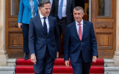 Babis, pus în fața NATO: Guvernul ceh taie din Apărare, dar respectă angajamentele