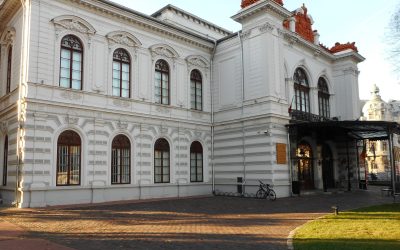 Evenimente pentru comunitate la Palatul Suțu – 3 luni de sesiuni