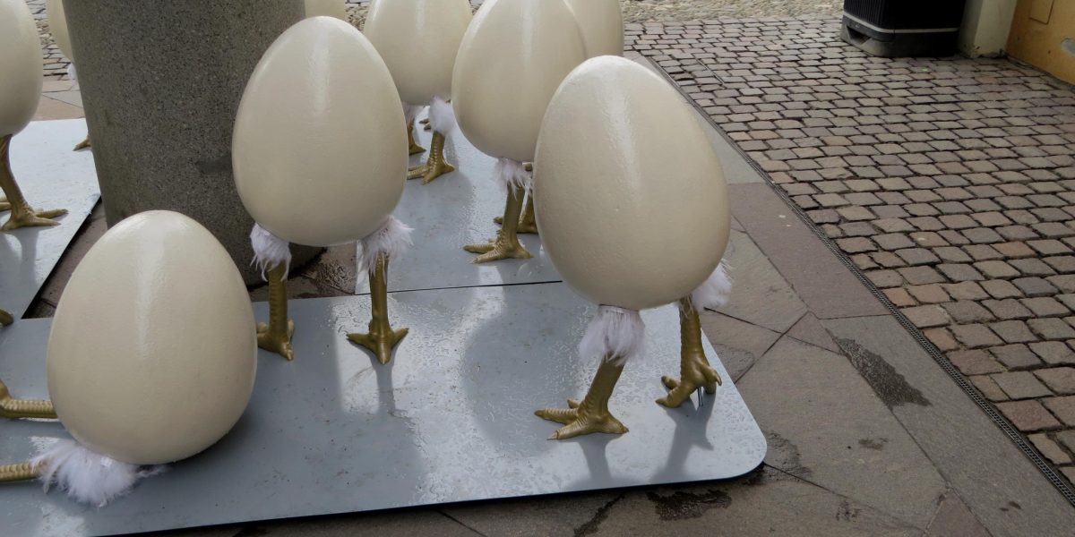 Oua-gigantice-cu-picioare-Timisoara.jpg - ReactiveNews