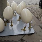 Oua-gigantice-cu-picioare-Timisoara.jpg - ReactiveNews