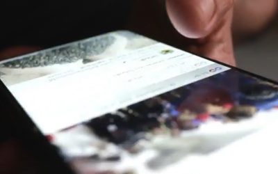 UE, aplicație anti-pornografie pentru minori: Ce riscă părinții