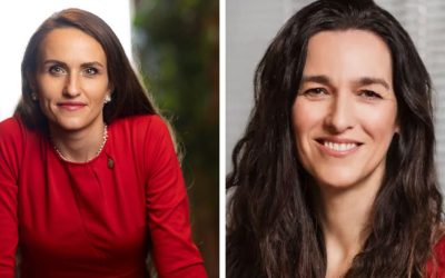 Oana Țoiu, dialog cu viitorul șef de Externe de la Budapesta: Schimbare de abordare