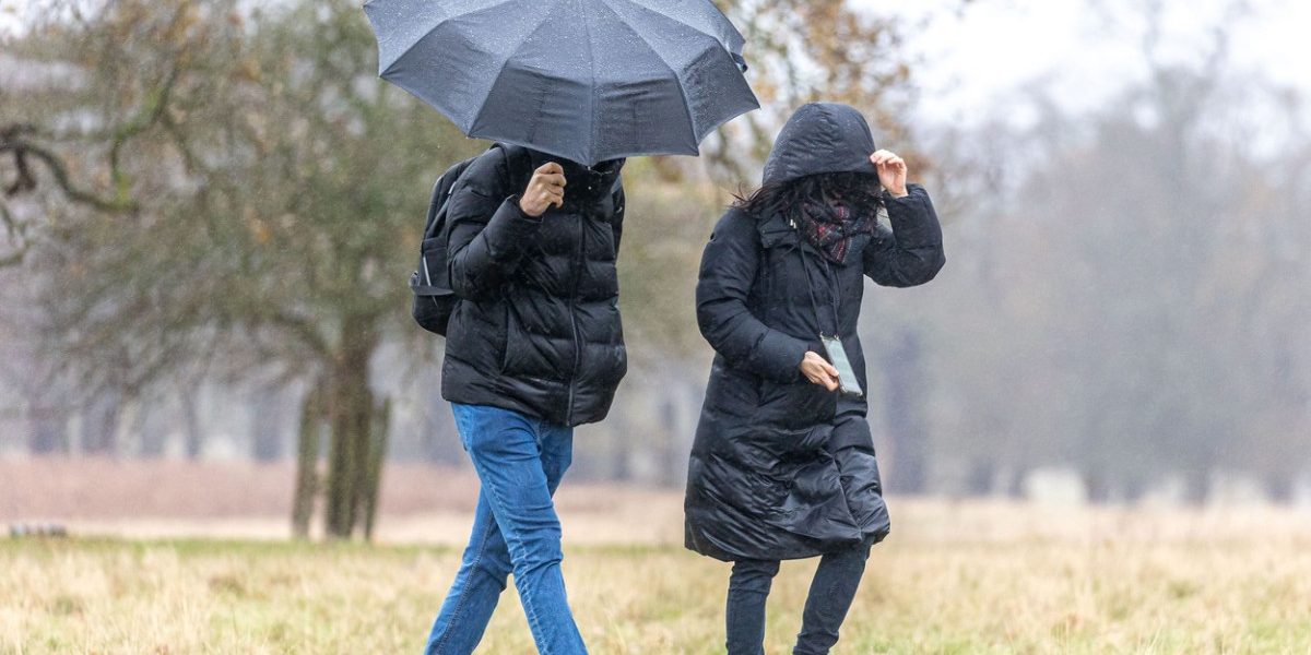 PTkyOTA3NTBlNzQ2YTM5ZDgyZDc3ODE3YWI5MDUyYzI5.thumb_.jpg - ReactiveNews