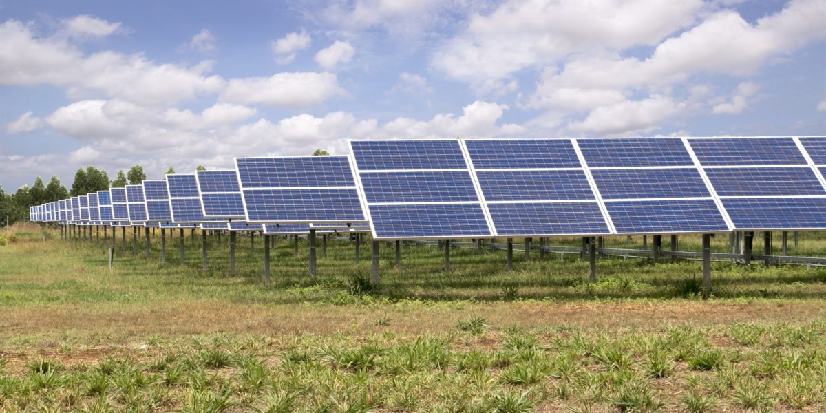 Un nou investitori în România inaugurează cea mai mare afacere a sa