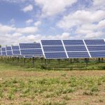 Un nou investitori în România inaugurează cea mai mare afacere a sa