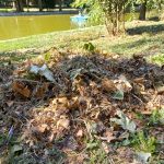 Parcul-Cismigiu-7.jpeg - ReactiveNews