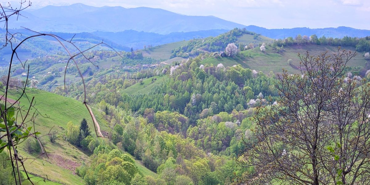 Peisaj-de-primavara.jpg - ReactiveNews