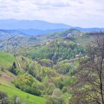 Peisaj-de-primavara.jpg - ReactiveNews