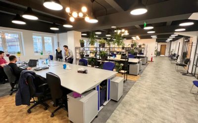 Pentalog România, în picaj: Numărul angajaților, la minimul din 2014