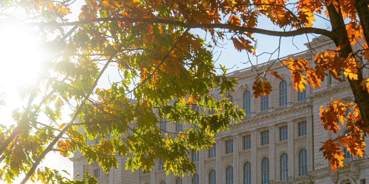 Retea-de-refugii-anti-canicula-Bucuresti.jpg - ReactiveNews