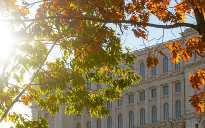 Retea-de-refugii-anti-canicula-Bucuresti.jpg - ReactiveNews