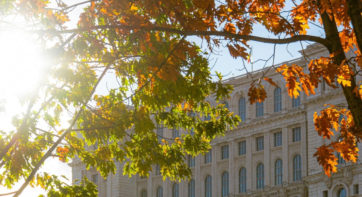 Primăria Capitalei pregătește o rețea extinsă de refugii anti-caniculă, o inițiativă menită să protejeze populația de creșterea temperaturilor extreme și de efectele devastatoare ale schimbărilor climatice