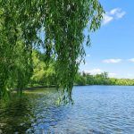 Peisaj de primavara, Foto: Vlad Barza / HotNews.ro