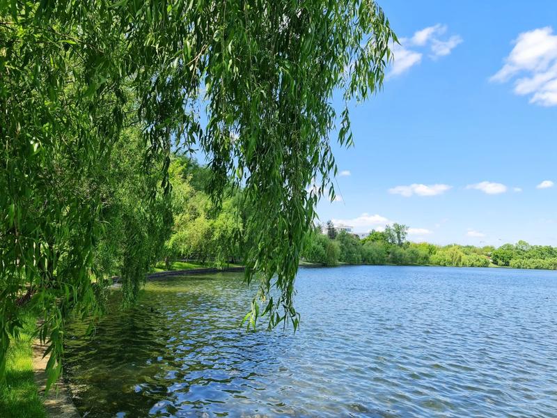 Peisaj de primavara, Foto: Vlad Barza / HotNews.ro