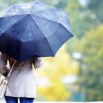 Screenshot-2025-05-19-at-14.43.45-1024x560.png - ReactiveNews