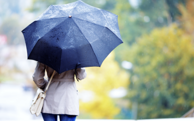 Vremea va fi instabilă pe parcursul săptămânii viitoare, cu variații semnificative de temperatură, precipitații abundente, intensificări ale vântului și chiar lapoviță sau ninsoare la munte, potrivit prognozei emise de Administrația Națională de Meteorologie (ANM)