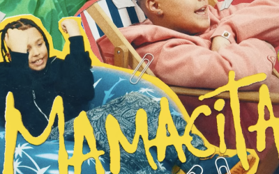 Frații Velea, sub focul criticilor: Limbaj INADECVAT, reacții aprinse online