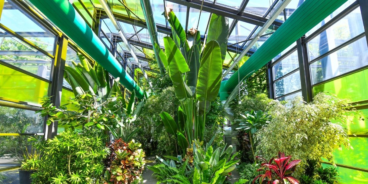 Serele exotice din Parcul Drumul Taberei își modifică programul de vizitare pentru perioada sărbătorilor pascale, oferind bucureștenilor o oază de verdeață și culoare