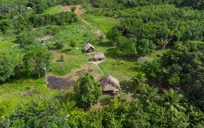 Drumuri antice, vechi de 2.700 de ani, dezvăluite în Amazon