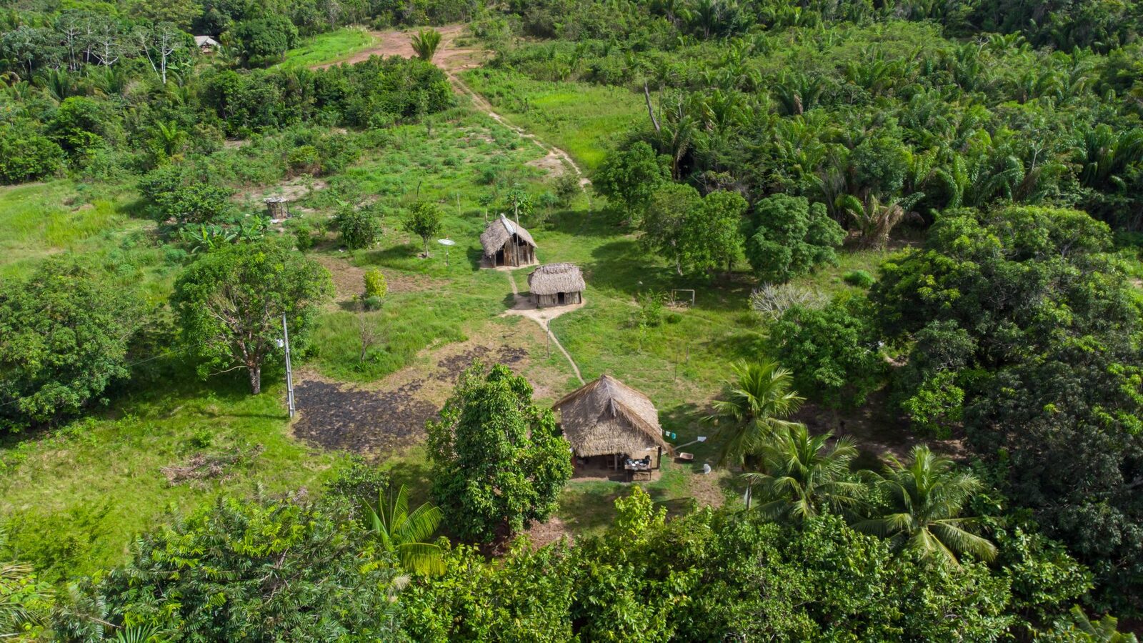 Drumuri antice, vechi de 2.700 de ani, dezvăluite în Amazon