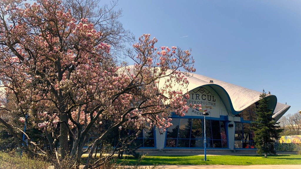 Adopții la Circul Metropolitan în aprilie: Distracție și pentru copii!