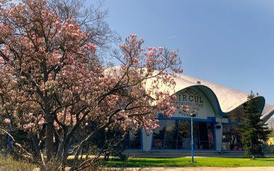 Adopții la Circul Metropolitan în aprilie: Distracție și pentru copii!