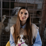 Untitled-design-47.png - ReactiveNews